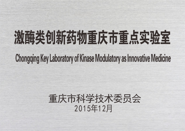 激酶类创新药物重庆市重点实验室.jpg